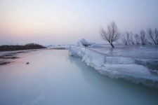 관청 저수지 티켓 할인, 운영 시간, 후기 [2026년] | Trip.com