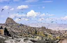 피죤 밸리 (비둘기 계곡) 티켓 할인, 운영 시간, 후기 [2026년] | Trip.com