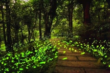 충라이 관광지 (2026년 업데이트) | Trip.com 추천