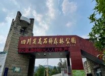 가오스시디 삼림공원 티켓 할인, 운영 시간, 후기 [2026년] | Trip.com