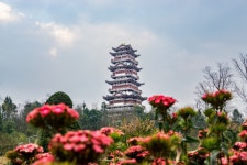 저산 공원 티켓 할인, 운영 시간, 후기 [2026년] | Trip.com