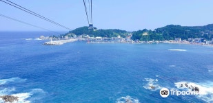삼척해상케이블카 용화역 티켓 할인, 운영 시간, 후기 [2026년] | Trip.com
