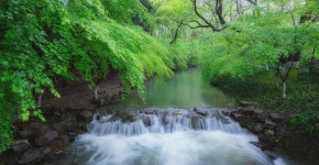 구계연수 티켓 할인, 운영 시간, 후기 [2026년] | Trip.com