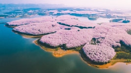 안순 호텔 추천, 인기 안순 숙소 예약 | 트립닷컴