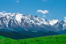 남산 목장 티켓 할인, 운영 시간, 후기 [2026년] | Trip.com