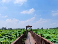 Sanchahe National Wetland Park 티켓 할인, 운영 시간, 후기 [2026년] | Trip.com