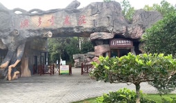 아오둬치 농장 티켓 할인, 운영 시간, 후기 [2026년] | Trip.com