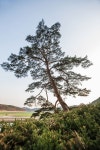 웅부공원 근처 호텔 추천, 안동시 숙소 2026 | 트립닷컴