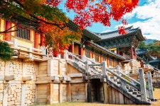 인기 경주 불국사 지구 호텔 추천 베스트 10 | 트립닷컴