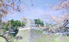 시마바라 성터 티켓 할인, 운영 시간, 후기 [2026년] | Trip.com