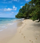 파라다이스 비치 티켓 할인, 운영 시간, 후기 [2026년] | Trip.com