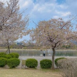 서울근교 숨은핫플 미사 경정공원 | 트립닷컴 경기도 트래블로그