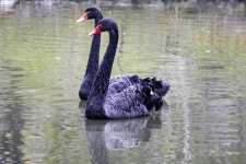 Huaining Sports Park 티켓 할인, 운영 시간, 후기 [2025년] | Trip.com