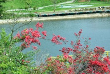 위안안 관광지 (2026년 업데이트) | Trip.com 추천