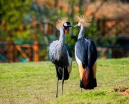 가정과 조류 공원 티켓 할인, 운영 시간, 후기 [2026년] | Trip.com