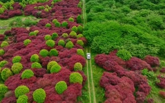 안순 관광지 (2025년 업데이트) | Trip.com 추천