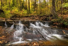 피시 룬 티켓 할인, 운영 시간, 후기 [2026년] | Trip.com