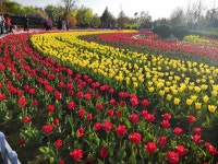 동성공원 티켓 할인, 운영 시간, 후기 [2025년] | Trip.com