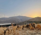 낙양 완안산 고산 목장 티켓 할인, 운영 시간, 후기 [2026년] | Trip.com