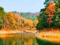 홍예완 티켓 할인, 운영 시간, 후기 [2026년] | Trip.com