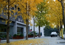 진주 호텔(安逸·锦著酒店(双流国际机场成都信息工程大学店)) 후기 및 특가 예약, 청두 2026 | 트립닷컴