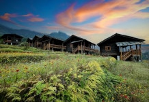 Gongshan Nayiduo Homestay(贡山那一朵民宿) 후기, 가격 2024 궁산 호텔 추천 | 트립닷컴