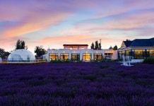 Huocheng Lanjian Yunshe B&B (Xiaoma Lavender Manor)(霍城岚涧云舍民宿(小马薰衣草庄园店)) 후기, 예약 및 특가 확인 - 훠청 호텔 추천... 
