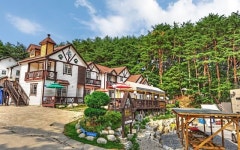 강릉 풀빌라쏠 후기 및 특가 예약 - 강릉 호텔 추천 | 트립닷컴