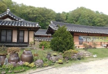 충주 야생화와 고택나들이 후기, 예약 및 특가 확인 - 충주 호텔 추천 | 트립닷컴
