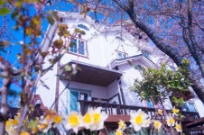 태안(안면도) 꽃길따라펜션 후기 및 특가 예약 - 태안군 호텔 추천 | 트립닷컴