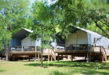 4 손의 제로니모 - 버드하우스 캐빈 후기 및 특가 예약 - 세강 호텔 추천 | 트립닷컴