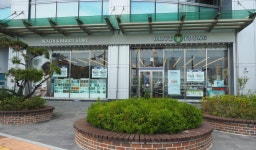 위드 어 블라썸 퍼스트 후기, 가격 2025 부산 호텔 추천 | 트립닷컴