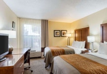 퀄리티 인 올리브 브랜치 후기 및 특가 예약 - 올리브브랜치 호텔 추천 | 트립닷컴