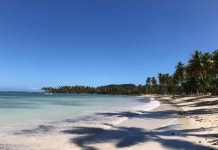 그레이트 팜 뷰 - 아파트먼트 3 인 빌라 코코누 후기 및 특가 예약 - 사마나 호텔 추천 | 트립닷컴