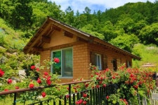 가평 포레하우스펜션 후기 및 특가 예약 - 가평군 호텔 추천 | 트립닷컴