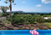 탐나는팜 후기 및 특가 예약 - 제주 호텔 추천 | 트립닷컴