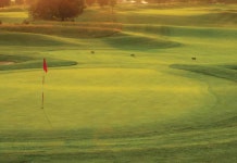 포레스트 골프 클럽 & 인 후기 및 특가 예약 - 그랜드 벤드 호텔 추천 | 트립닷컴