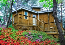 숲속의 연인별 관광농원 후기 및 특가 예약 - 횡성군 호텔 추천 | 트립닷컴