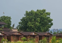 니르바나 리조트 앤 레스토랑 후기 및 특가 예약 - 나르마다 호텔 추천 | 트립닷컴