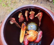 Seogwipo Davin House 호텔 후기, 예약 서귀포 호텔 추천 | 트립닷컴