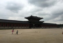 동대문 스테이 호스텔 후기 및 특가 예약 - 서울 호텔 추천 | 트립닷컴