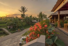 푸리 수크스마 우붓 후기, 예약 및 특가 확인 - 발리 호텔 추천 | 트립닷컴