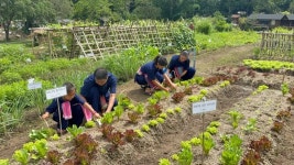 매사 밸리 팜스테이 리조트 - 유기농 농장 체험 프로그램 반일/종일 농장 생활 탐험 | Trip.com