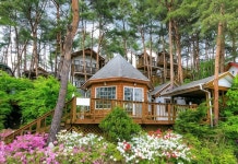 횡성 숲속의사랑별펜션 후기 및 특가 예약 - 횡성군 호텔 추천 | 트립닷컴