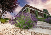 Casa Mia in Puglia 후기 및 특가 예약 - 콘베르사노 호텔 추천 | 트립닷컴