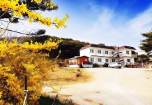 양지펜션 호텔 후기, 예약 태안군 호텔 추천 | 트립닷컴