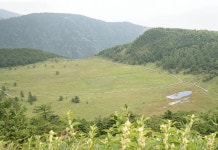 Lodge Kamon 후기, 예약 및 특가 확인 - 도미 시 호텔 추천 | 트립닷컴