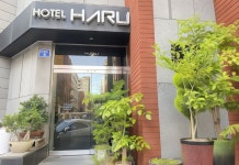 호텔하루 호텔 후기, 예약 제주 호텔 추천 | 트립닷컴