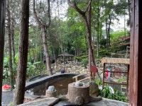 장시성 의춘 온천 노동자 스파(공료 온천) 티켓 할인, 운영 시간, 후기 [2026년] | Trip.com