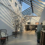 Moon Yoga Club 티켓 할인, 운영 시간, 후기 [2025년] | Trip.com